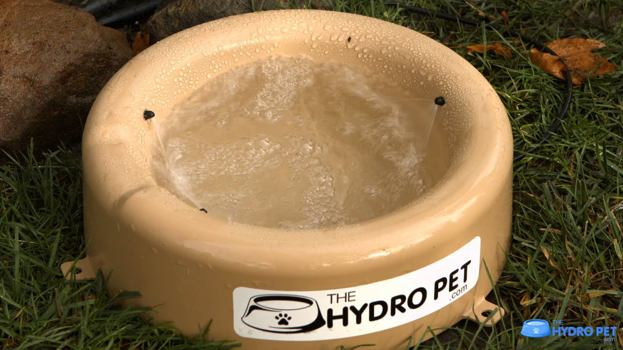 Hydropet Ad