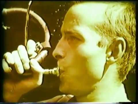 DWJ Treffpunkt Wald 1962