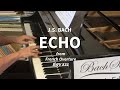 ECHO from "French Overture" (BWB 831) by J.S. Bach played by Cory Hall
