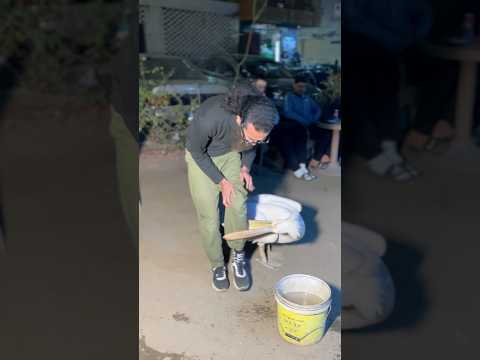 أوسم طفل في العالم لدرجة إن البجعة عضّته في رجله