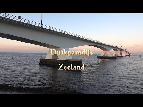 Duikparadijs Zeeland,duiken,Nederland,Oosterschelde,Grevelingen,Veerse Meer