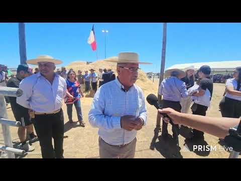 XXIV TRILLA A YEGUA SUELTA YUMBEL 2026