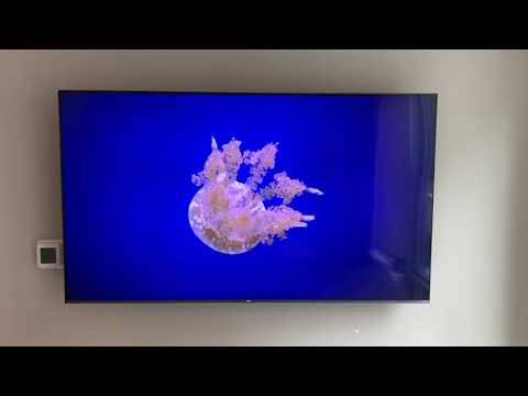 First Look! TCL 5 Series QLED TV 2020 S535