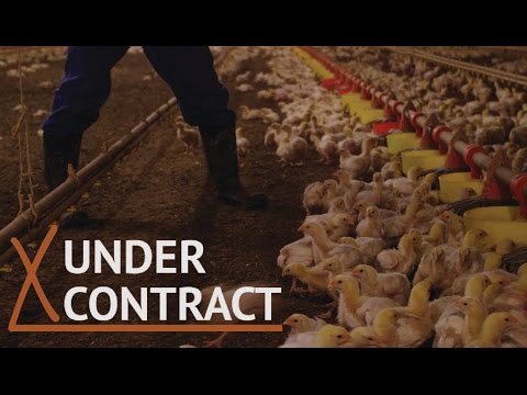 Under Contract Official Trailer #1