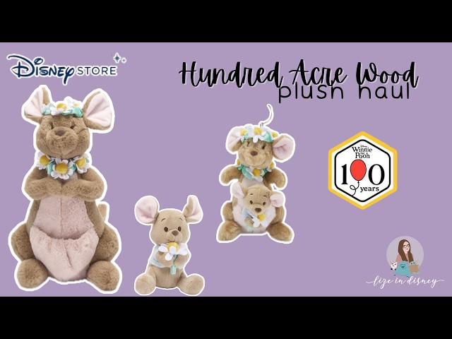 Vídeo relacionado con Disney Store Peluche de Winnie The Pooh, Mide 32 cm, Osito de Peluche con su Habitual Camiseta roja y Detalles Bordados, Apto para Todas Las Edades