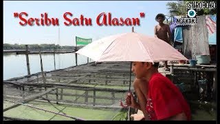 Download lagu Suroboyo Ngakak 'Seribu Satu Alasan' mp3