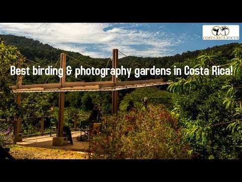 Best Birding and Bird Photography Spots in Costa Rica