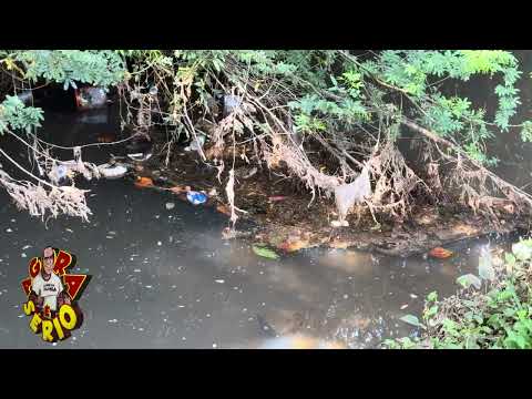 JUQUITIBA TEM A POROROCA DO BOSTA O ENCONTRO DO ESGOTO DO CENTRO COM O RIO SÃO LOURENÇO DA SERRA