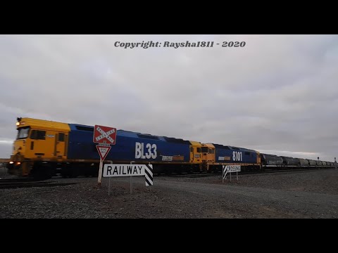 BL33-8101 - Gheringhap