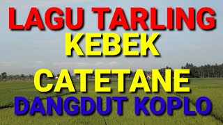 Download lagu LAGU TARLING KEBEK CATETANE DANGDUT KOPLO mp3
