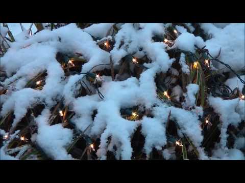Snow On Christmas Day In Seattle 2017