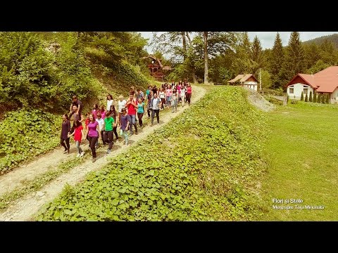 Flori și Stele: Merg spre Țara Minunată