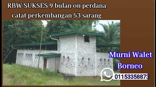 Download lagu RBW SUKSES video kiriman owner 9 bulan on perdana catat 53 sarang mp3 Download lagu RBW SUKSES video kiriman owner 9 bulan on perdana catat 53 sarang mp3