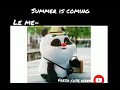 Cute Panda Funny Whatsapp Status For Summer