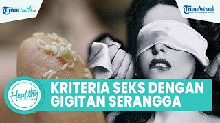 Mengenal Formikofilia, Perilaku Seksual yang Tengah Ramai Diperbincangkan Publik