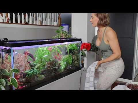 Massive Growth in My 55 Gallon! Time for a Major Trim & Maintenance