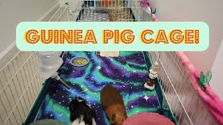 How To Set Up a Guinea Pig Cage