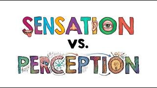 Download lagu Sensation vs. Perception mp3