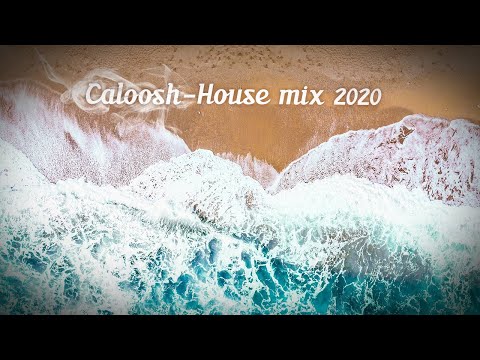 Caloosh - House mix 2020 ( House Deep House Bassline Ragga House )