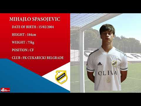 MIHAJLO SPASOJEVIC 2004  FK CUKARICKI