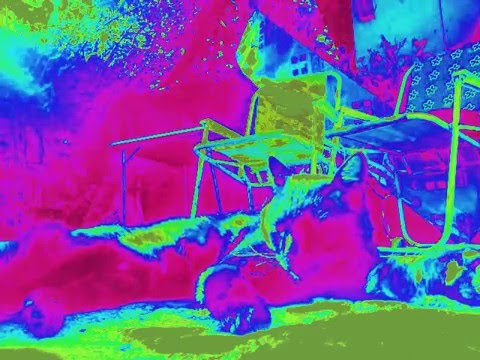 Daniania Feat Baironss- canción pa'l xóró baironss