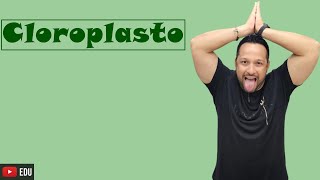 Cloroplasto - Características e Funções - Organela Citoplasmática - Citologia