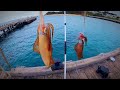Squid Fishing | WILD Conditions #squidfishing