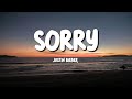 Justin Bieber Sorry Lyrics
