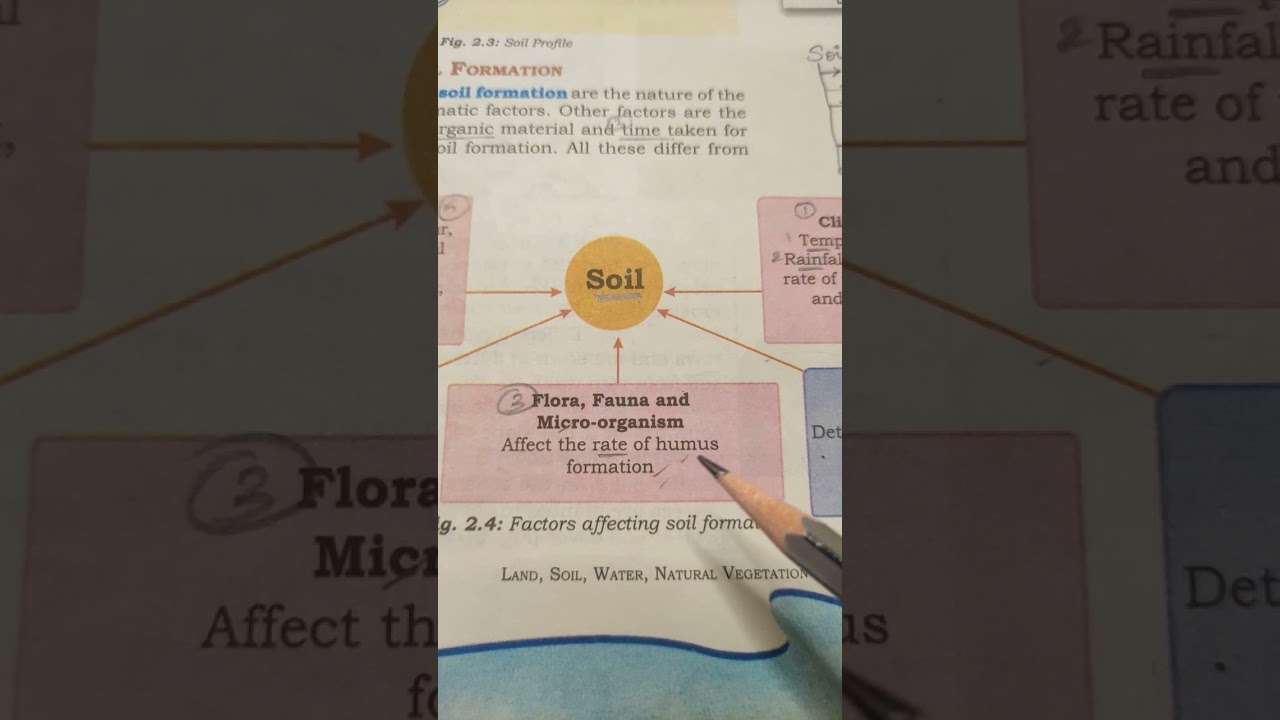 Factors affecting the soil formation | UPSC notes | NCERT notes for UPSC preparation #ias #ncert