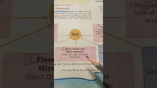 Factors affecting the soil formation | UPSC notes | NCERT notes for UPSC preparation #ias #ncert