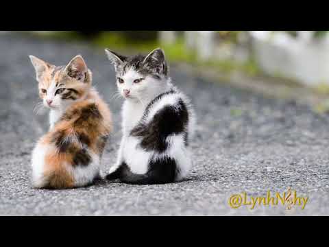 Chỉ cần có nhau thôi Sheet - Hương Giang