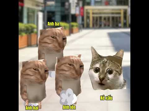 Khi có kẻ xấu định tiếp cận cô gái nhỏ #cat #meme
