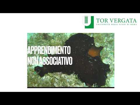 Psicologia Generale (PF24) - Comportamento e apprendimento