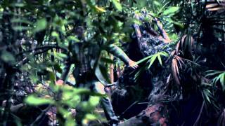 Witches on the Road Tonight (Book Trailer)