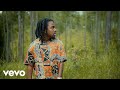 Jahmiel The World Official Video