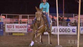 LTR Presents: Run Wild