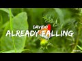 Davido - Already Falling (Official Lyrics Video)