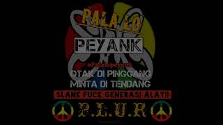 Download lagu Story wa slank-palalo peyank mp3