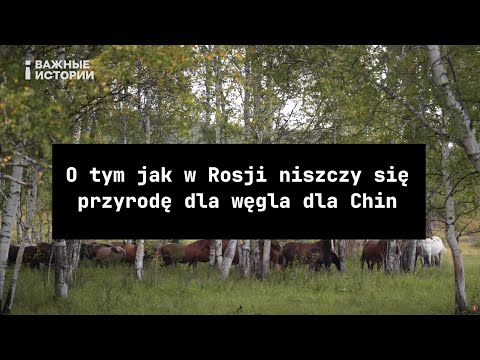 O tym jak w Rosji niszczy się przyrodę dla węgla dla Chin
