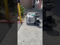 DELIVERY ROBOT LOOTED: Austin Got Robbed. #ai #deliveryrobot #fooddelivery #robotics
