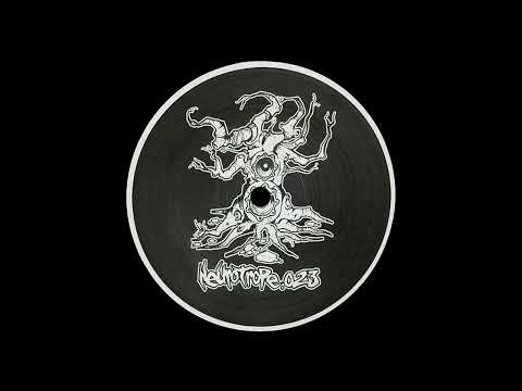 Sam.C - Probing The Darkside Of The Moon - Neurotrope.023 (Dosis Decibel)