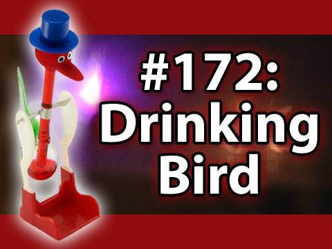 Is It A Good Idea To Microwave A Drinking Bird?