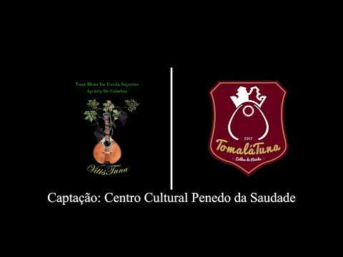 TomaLáTuna - Eu Não Sei (VIII Vitisval)