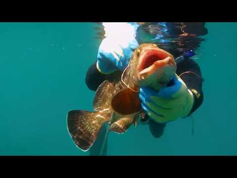 105 YOU MUST MURDER EVERYWHERE