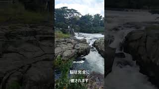 【鹿児島】曽木の滝の不思議なパワーで元気になれる動画#shorts