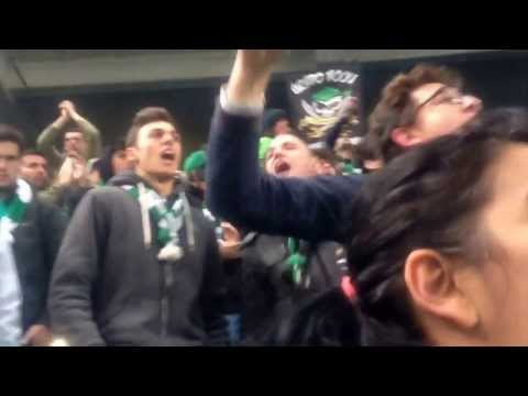 Sporting 4-0 paços de ferreira curva sul