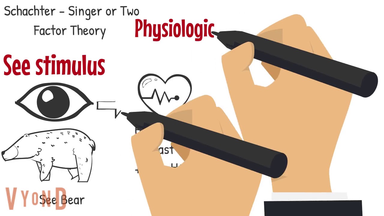 Theories of Emotion Explained