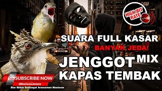 Download lagu 🔴 1JAM Suara Kasar dan Panjang Cucak Jenggot VS Kapas Tembak Dengan Banyak Jeda Anti Stres mp3