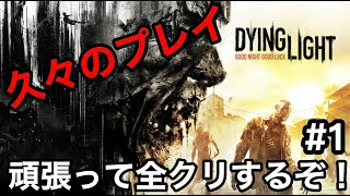 Neko Takauo のライブ配信　PC版Dying Light　マイク無しで配信