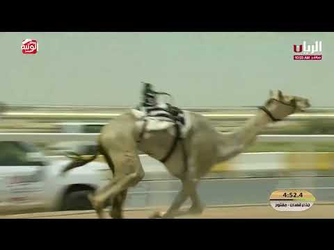 ش 28 (الخلاوي) لـ محمد جارالله حمد بن ظرمان 9:21:14  ، مهرجان ختامي الشحانية 2026/04/22 إيذاع